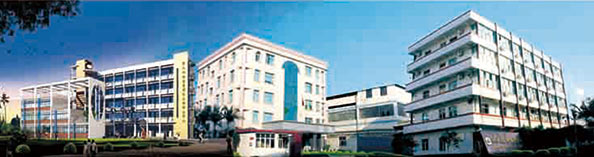 興業(yè)皮革科技股份有限公司在深交所成功上市（1992年，公司參股興業(yè)皮革廠，成為主要股東之一）。